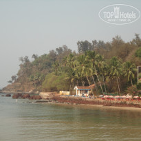 фото из отзыва ID 562502