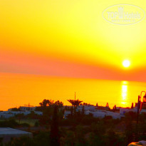 фото из отзыва ID 562593