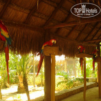 фото из отзыва ID 563007