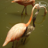 фото из отзыва ID 563007