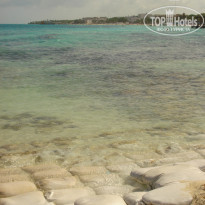 фото из отзыва ID 563007