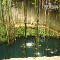 фото из отзыва ID 563007