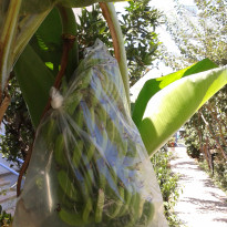 фото из отзыва ID 563425