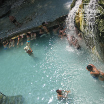 фото из отзыва ID 563352