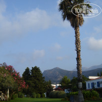 фото из отзыва ID 563667