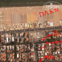 фото из отзыва ID 56494