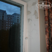 фото из отзыва ID 564081