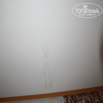 фото из отзыва ID 564081