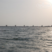 фото из отзыва ID 564177