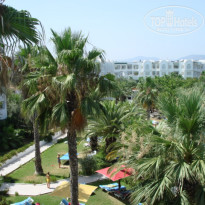 фото из отзыва ID 564340