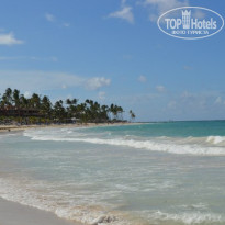 фото из отзыва ID 564396