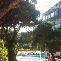 фото из отзыва ID 564505