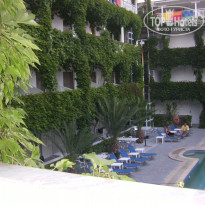 фото из отзыва ID 564622