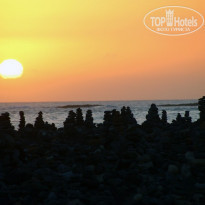 фото из отзыва ID 564682