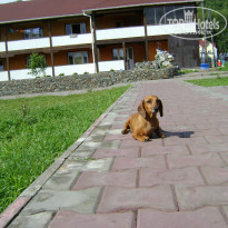 фото из отзыва ID 564722