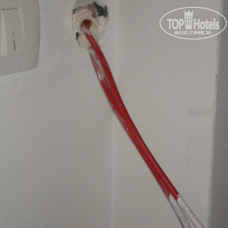 фото из отзыва ID 564913