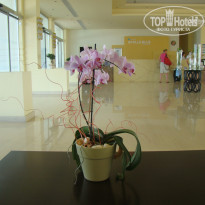 фото из отзыва ID 564914