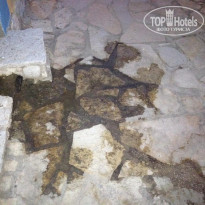 фото из отзыва ID 564955