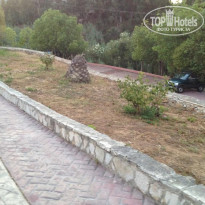 фото из отзыва ID 564955