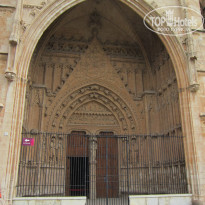 фото из отзыва ID 565169