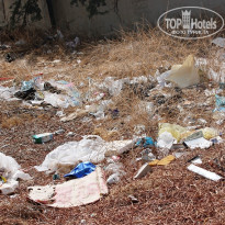 фото из отзыва ID 565268