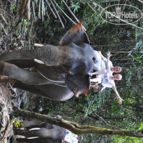 фото из отзыва ID 565377