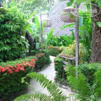 фото из отзыва ID 565707