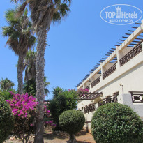 фото из отзыва ID 565736