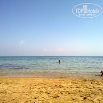 фото из отзыва ID 566329