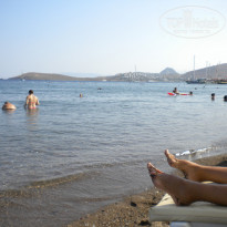 фото из отзыва ID 566773