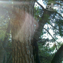 фото из отзыва ID 566832