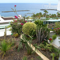 фото из отзыва ID 567476