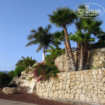 фото из отзыва ID 567476