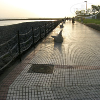 фото из отзыва ID 567476