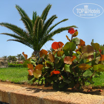 фото из отзыва ID 567476