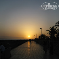 фото из отзыва ID 567476