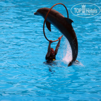 фото из отзыва ID 567476