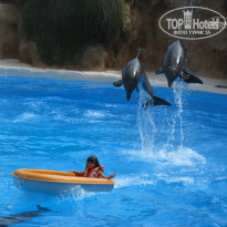 фото из отзыва ID 567476