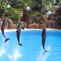 фото из отзыва ID 567476