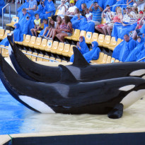 фото из отзыва ID 567476