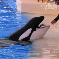 фото из отзыва ID 567476