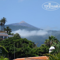 фото из отзыва ID 567476