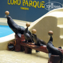 фото из отзыва ID 567476