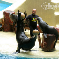 фото из отзыва ID 567476