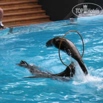 фото из отзыва ID 567476