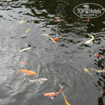 фото из отзыва ID 567476