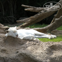 фото из отзыва ID 567476