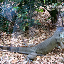 фото из отзыва ID 567476