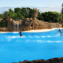 фото из отзыва ID 567476