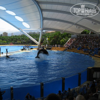 фото из отзыва ID 567476